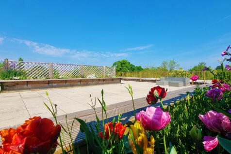 13_EXT_Roof_Flowers