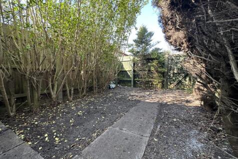 Garden 1
