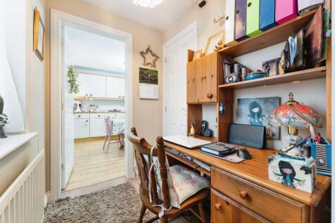 Study Area
