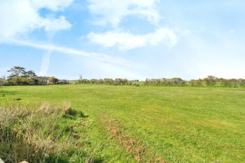 Field Views