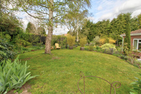 Garden 5