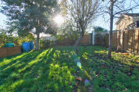 Garden 1