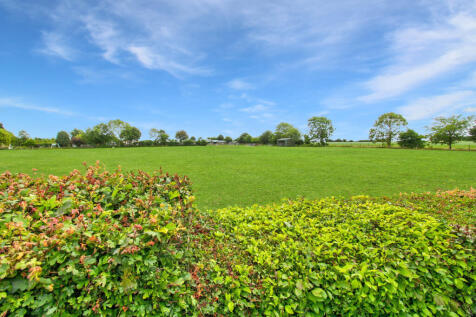 Fields