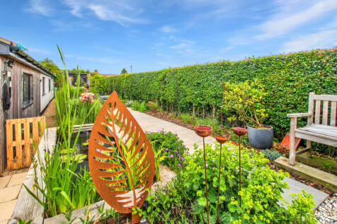 Garden 4