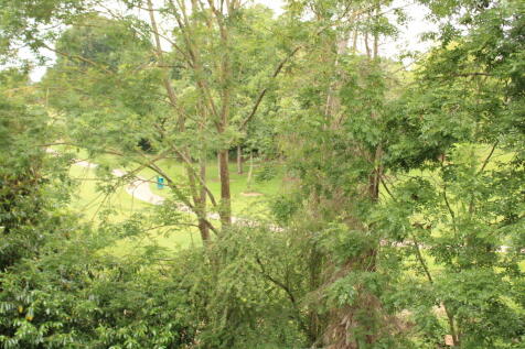 Views from Balcony