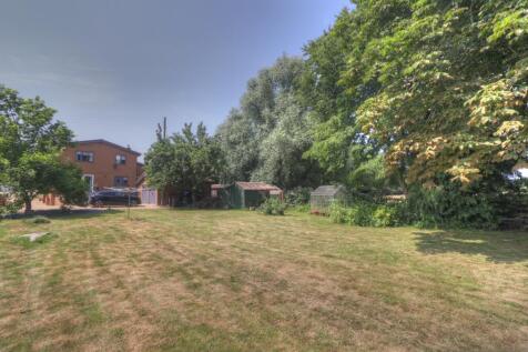 Garden 5