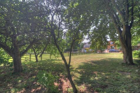 Garden 4
