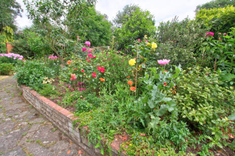 Garden 2