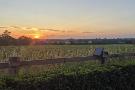 Evening Shot