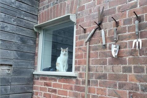 Property Image 76