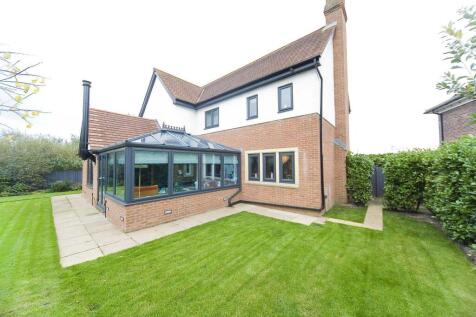 Property Image 41