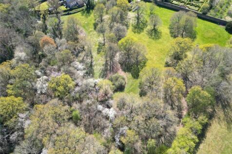 Ariel View Of Garden