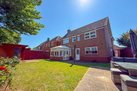 Property Image 32