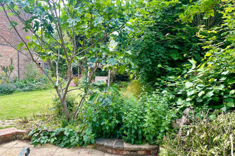 Property Image 42