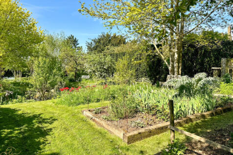 Property Image 46