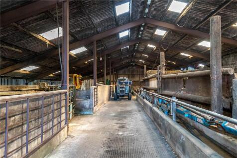 Cattle Shed