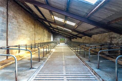 Cattle Shed