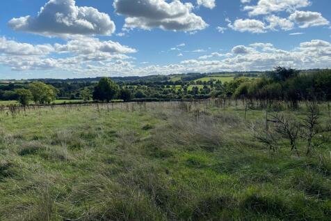 The view over the...