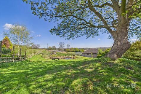 Pond vista