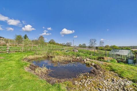 Pond