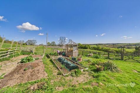 Vegetable Plot