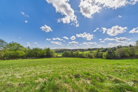 Orchard Paddock