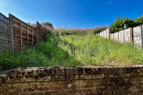 Garden Pic1