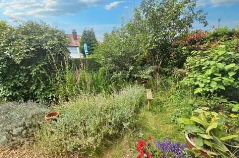 Front garden