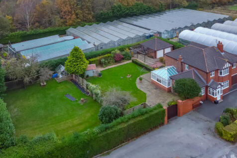 20241109-DJI_0923