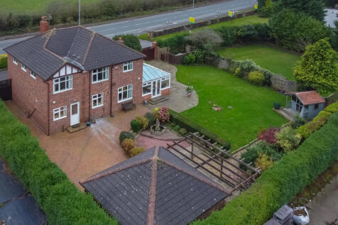 20241109-DJI_0903
