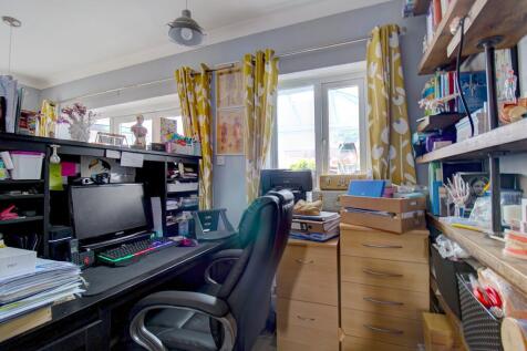 Study Area