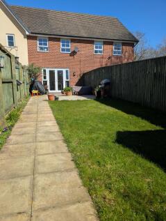 Garden 1