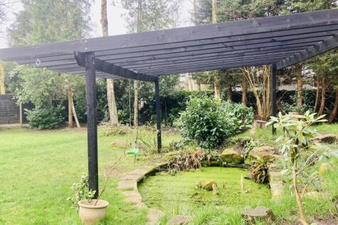 Pond
