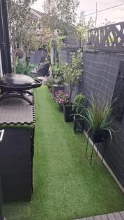 Garden 6