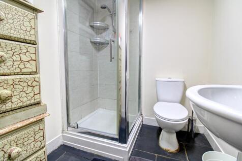 Annexe Shower Room