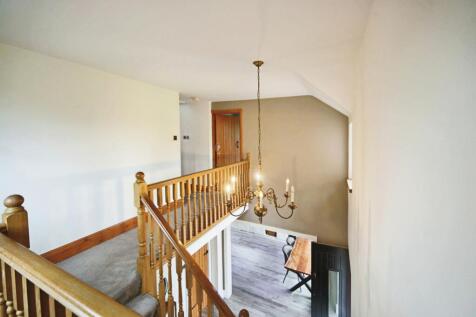 1ca36010-IMG_3910.JPG