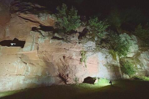 Garden At Night