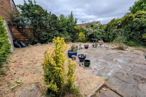 Garden 1