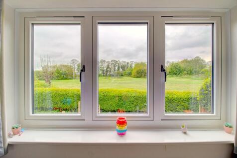 Flush Windows with Park View