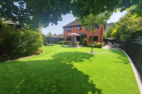 Back garden