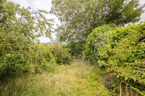 Image00010