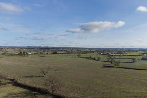 DJI_0203.JPG