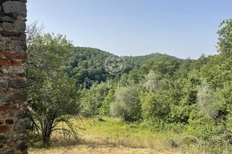 Panorama e Particolari
