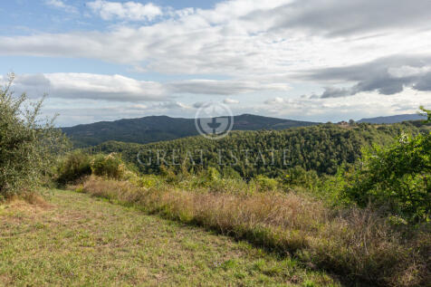 Panorama e Particolari