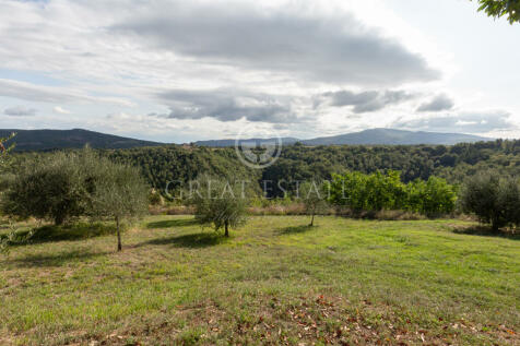 Panorama e Particolari