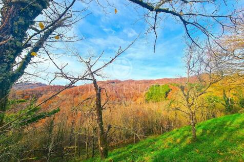 Panorama e Particolari