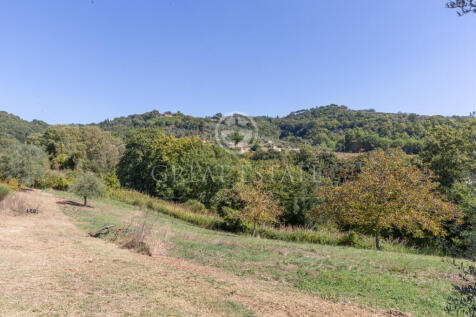 Panorama e Particolari