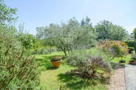 Panorama e Particolari