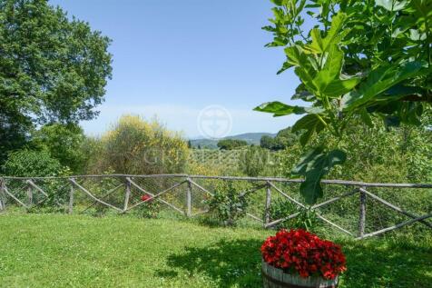 Panorama e Particolari