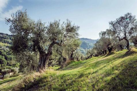 Panorama e Particolari